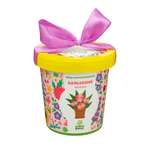 Набор для выращивания Happy Plant