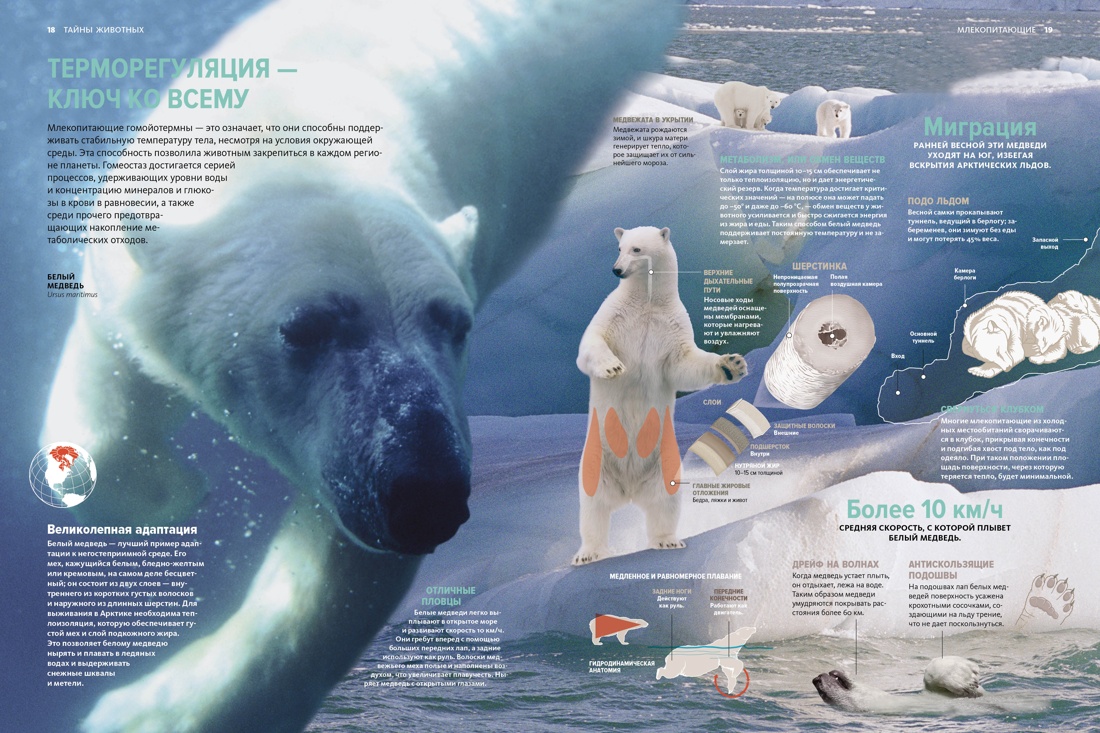 Книга Махаон Бертонатти К. Перейра Х. А. Тайны животных - фото 9