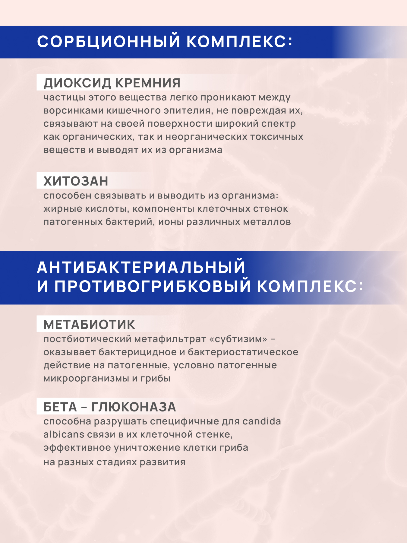 Метаболическая детоксикация Арт Лайф Энзимобакт, 60 капсул. - фото 6