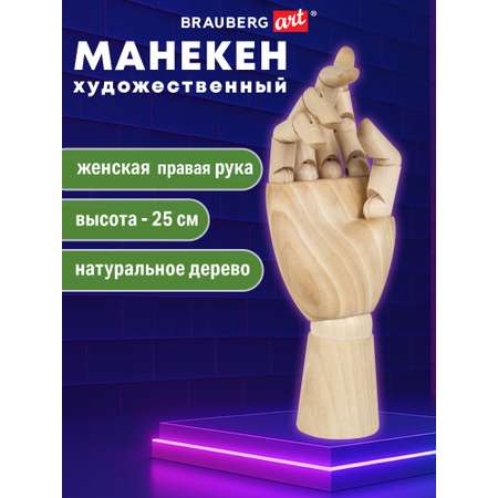 Манекен Brauberg