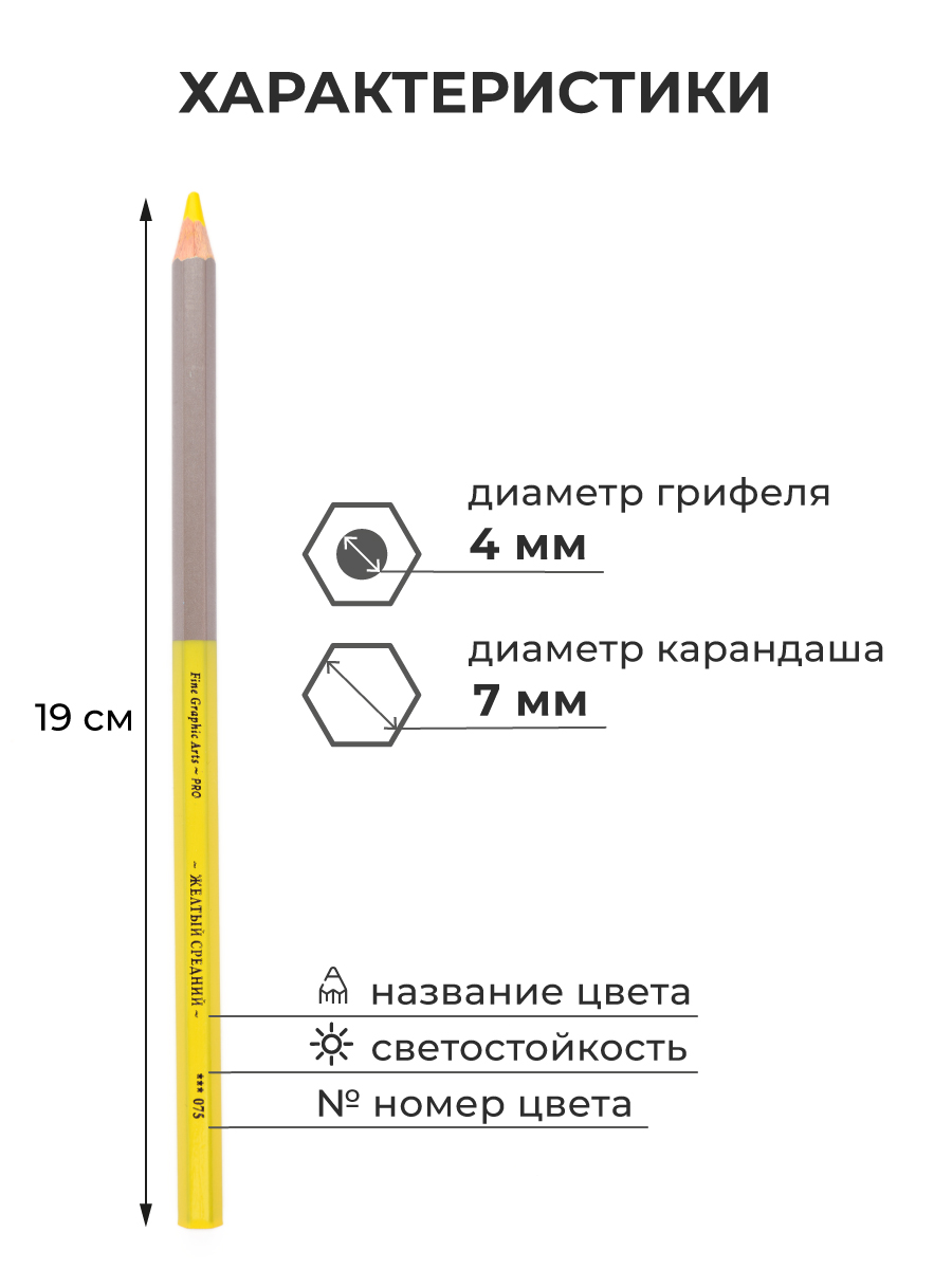 Карандаши цветные Малевичъ - фото 4