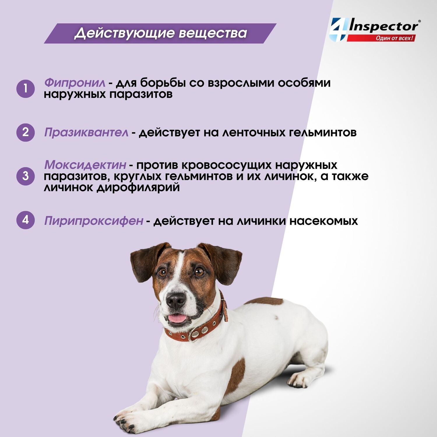 Капли от клещей, блох и гельминтов для собак Inspector Quadro 10-25кг 3пипетки - фото 6