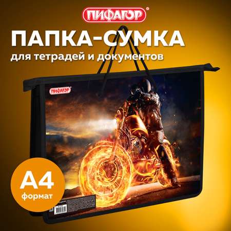 Папка для тетрадей Пифагор