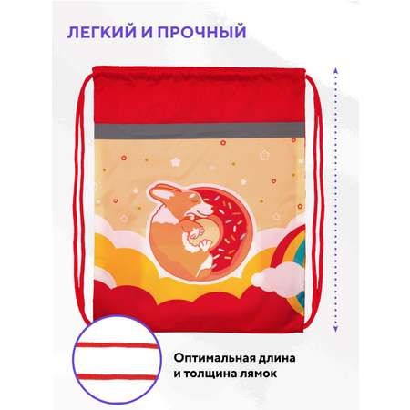Мешок для обуви ПАНДАРОГ