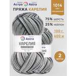 Пряжа для вязания носочная Astra Premium 100г 400м 2шт