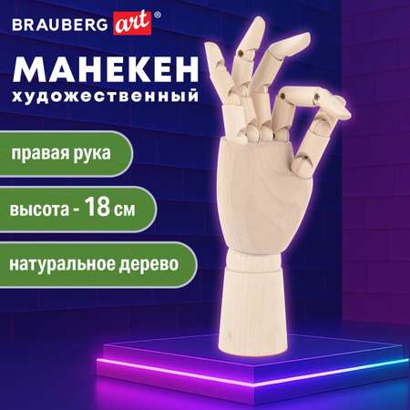 Манекен Brauberg