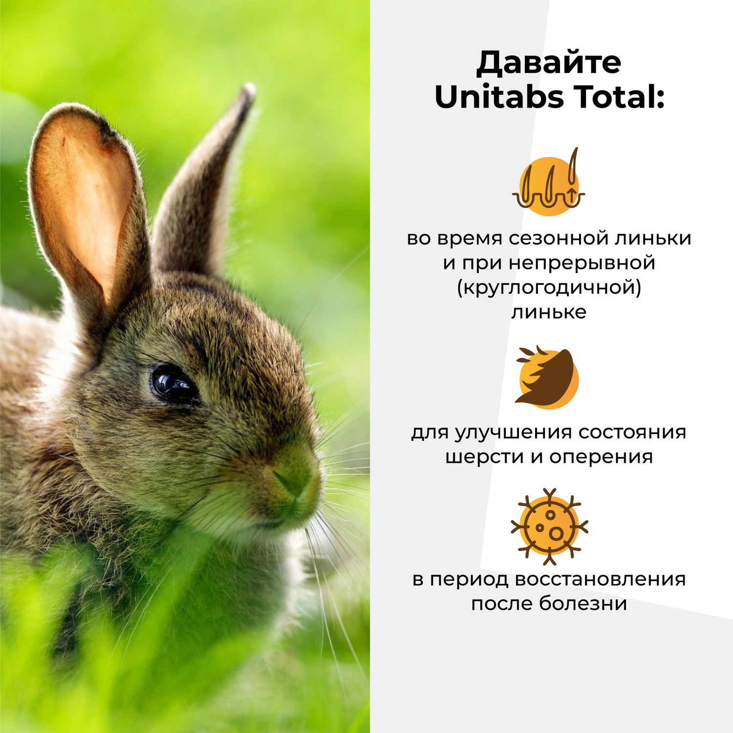 Витамины для кроликов птиц и грызунов Unitabs Тотал Q10 10мл - фото 3