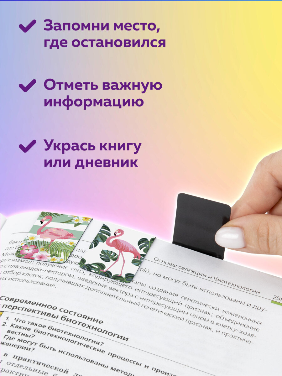 Закладки канцелярские Brauberg магнитные для книг в школу набор 6 штук - фото 3