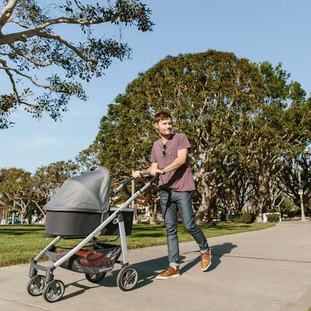 Люлька UPPAbaby Cruz и Vista
