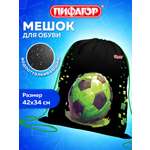Мешок для обуви Пифагор