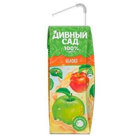 Нектар Дивный сад яблочный 0.2л