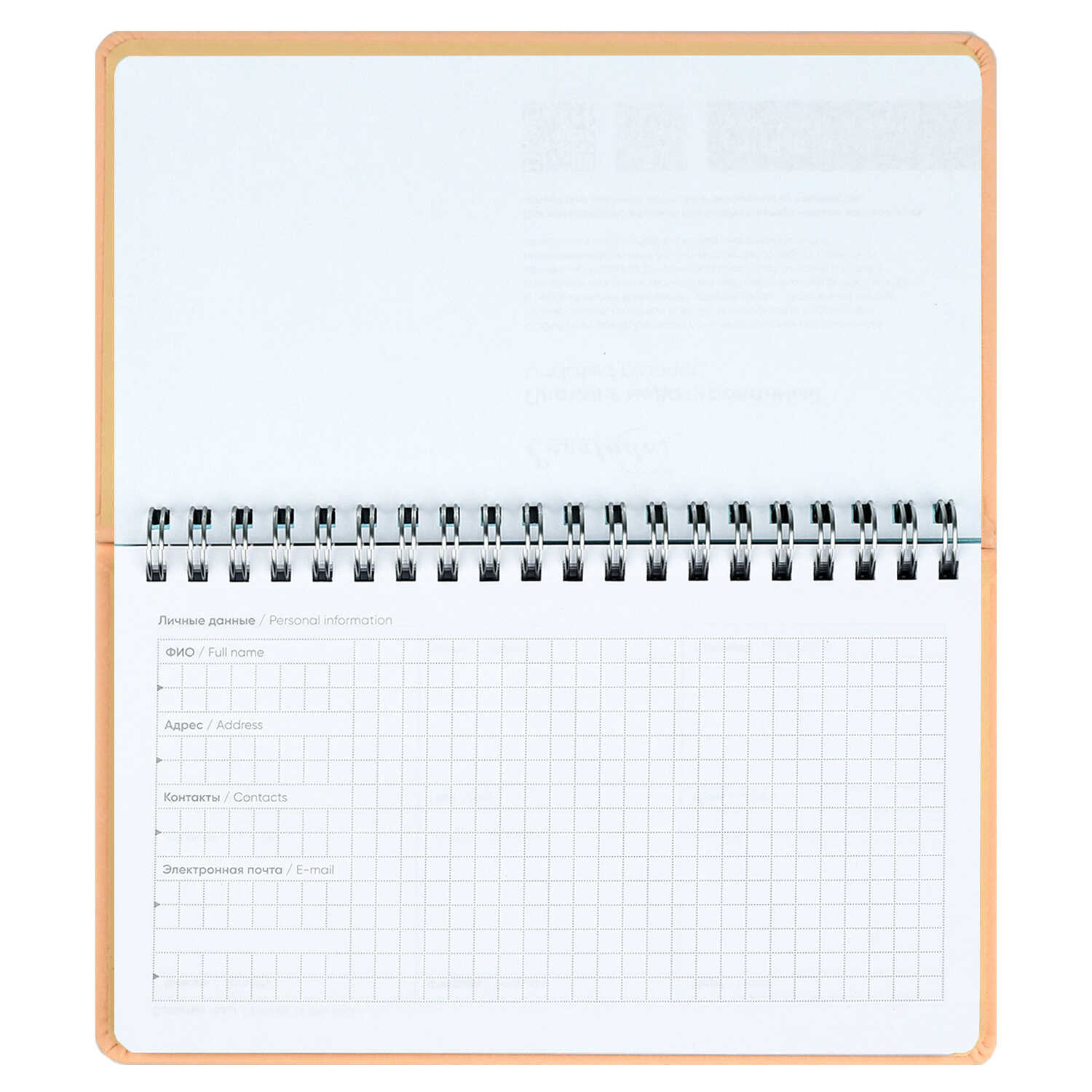 Ежедневник Феникс + ESCALADA 68 лист. - фото 12