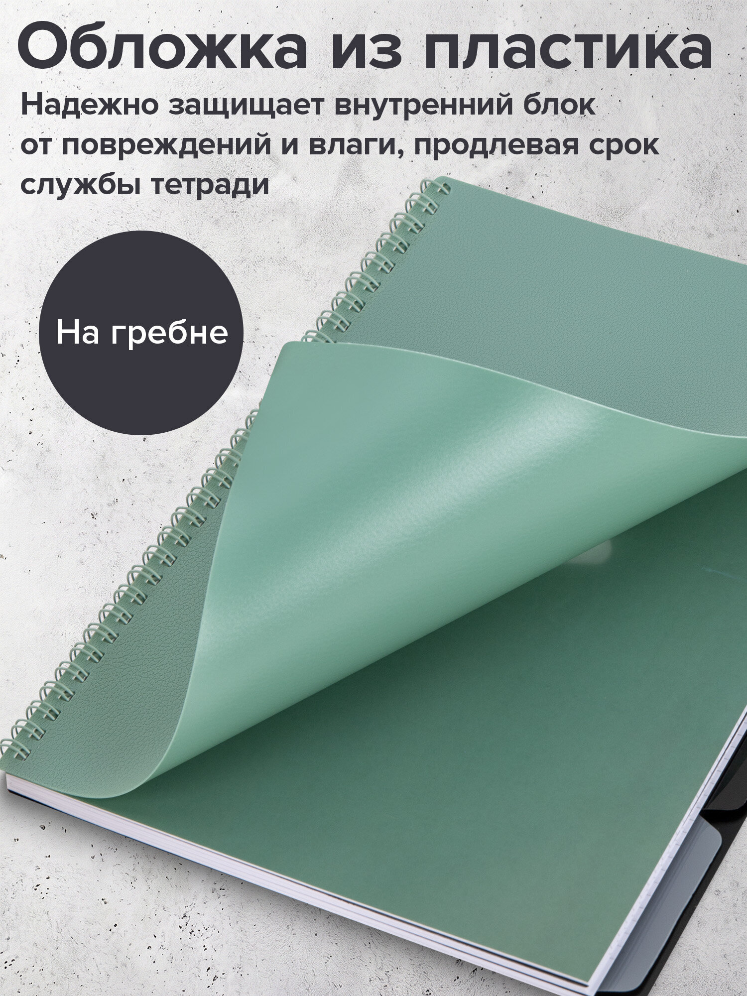 Тетрадь Brauberg клетка - фото 3