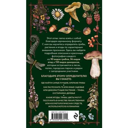 Книга Эксмо Лесной гид: грибы, ягоды, травы. Карманный атлас-определитель