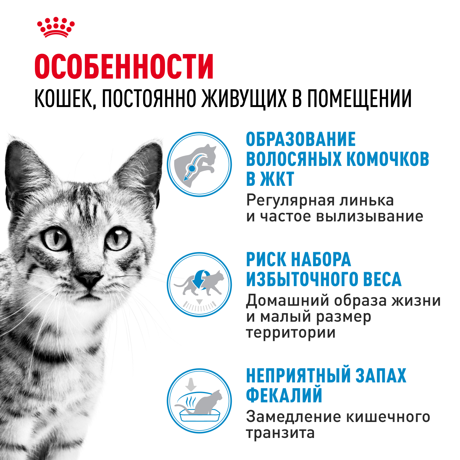 Корм для кошек ROYAL CANIN Indoor 27 взрослых живущих в помещении сухой 0.2кг - фото 2