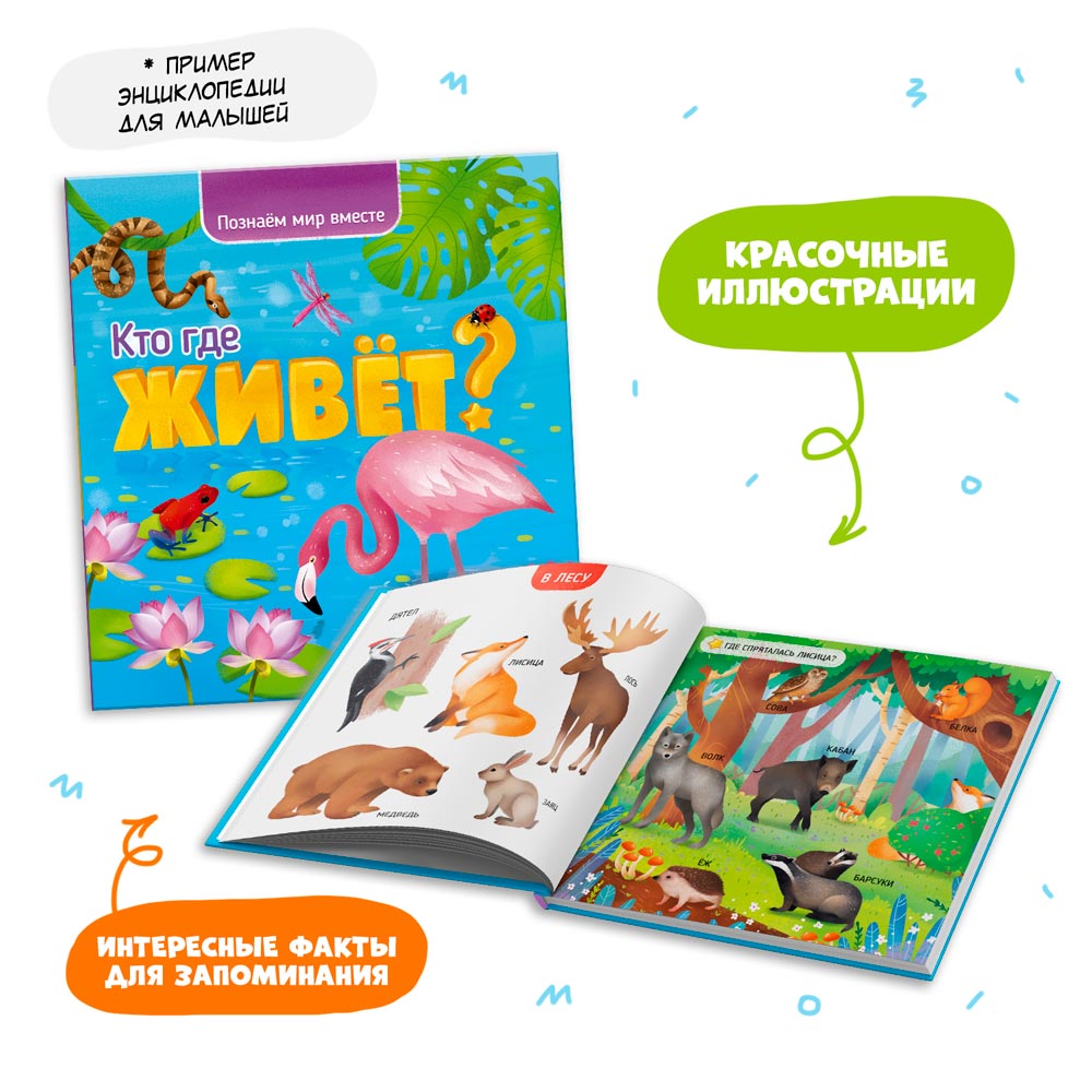 Настольная игра ГЕОДОМ - фото 9