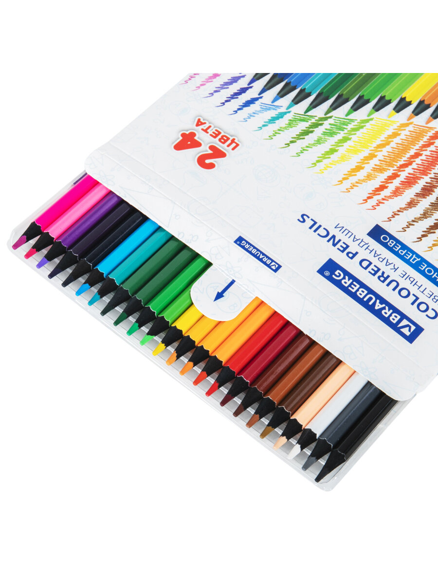 Карандаши цветные Brauberg 24 шт. - фото 9