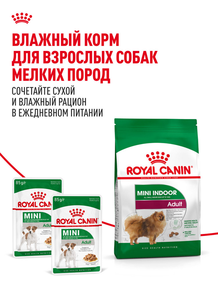 Корм для собак ROYAL CANIN малых пород живущих преимущественно в домашних условиях 500г - фото 8