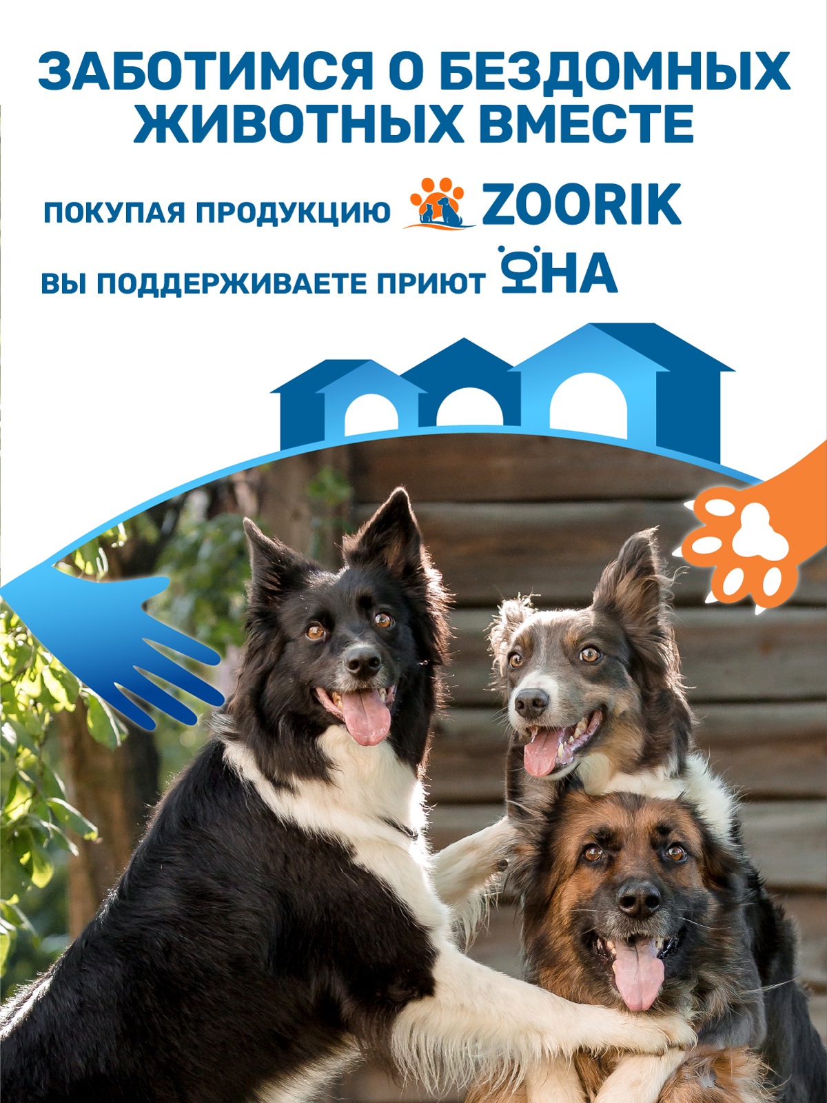 Набор губок для мытья животных ZOORIK кошка 3 шт - фото 2