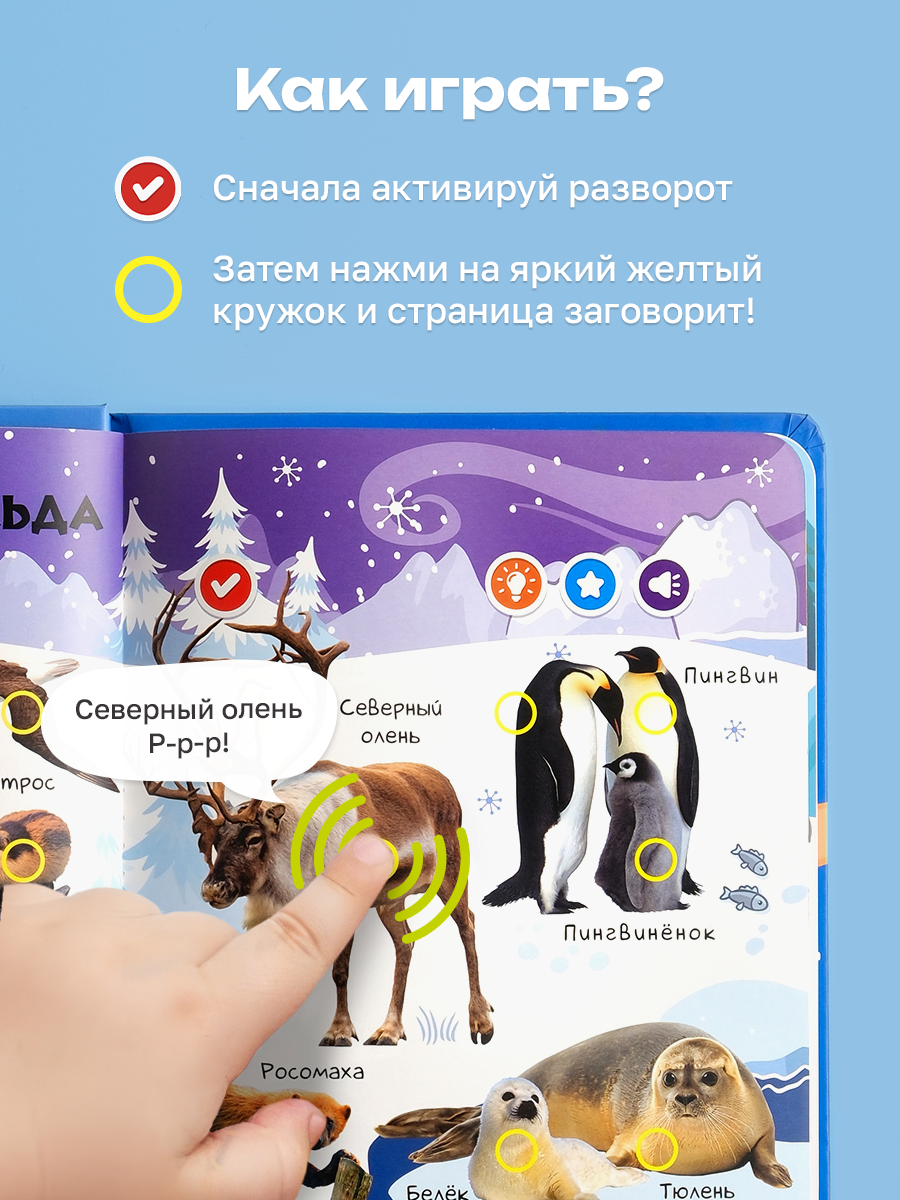 Комплект говорящих книжек BertToys Нажималки: Животные + Я и Мир Вокруг - фото 8