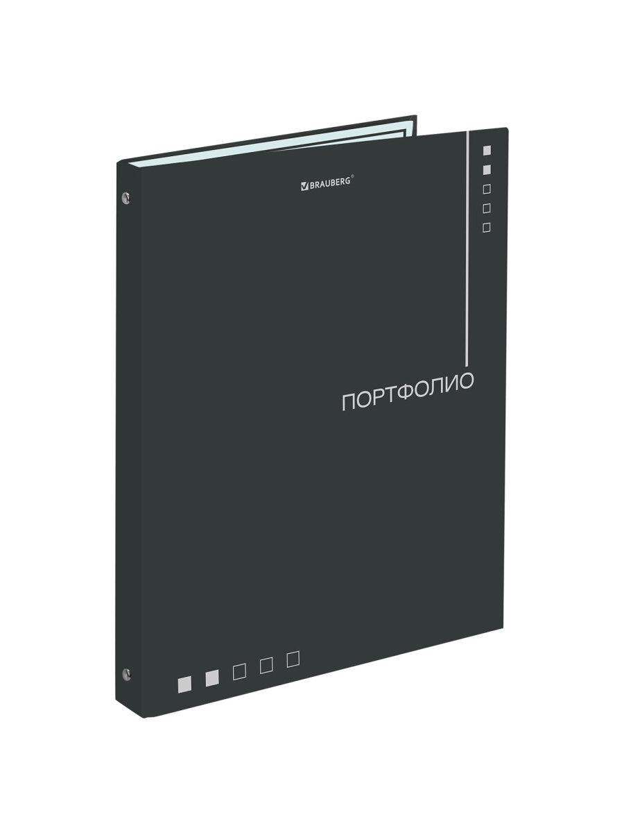 Портфолио школьника Brauberg папка А4 на кольцах 20 файлов для девочки и мальчика - фото 4