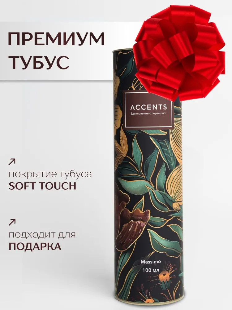 Диффузор с сухоцветами в Премиум тубусе Accents Massimo - фото 4