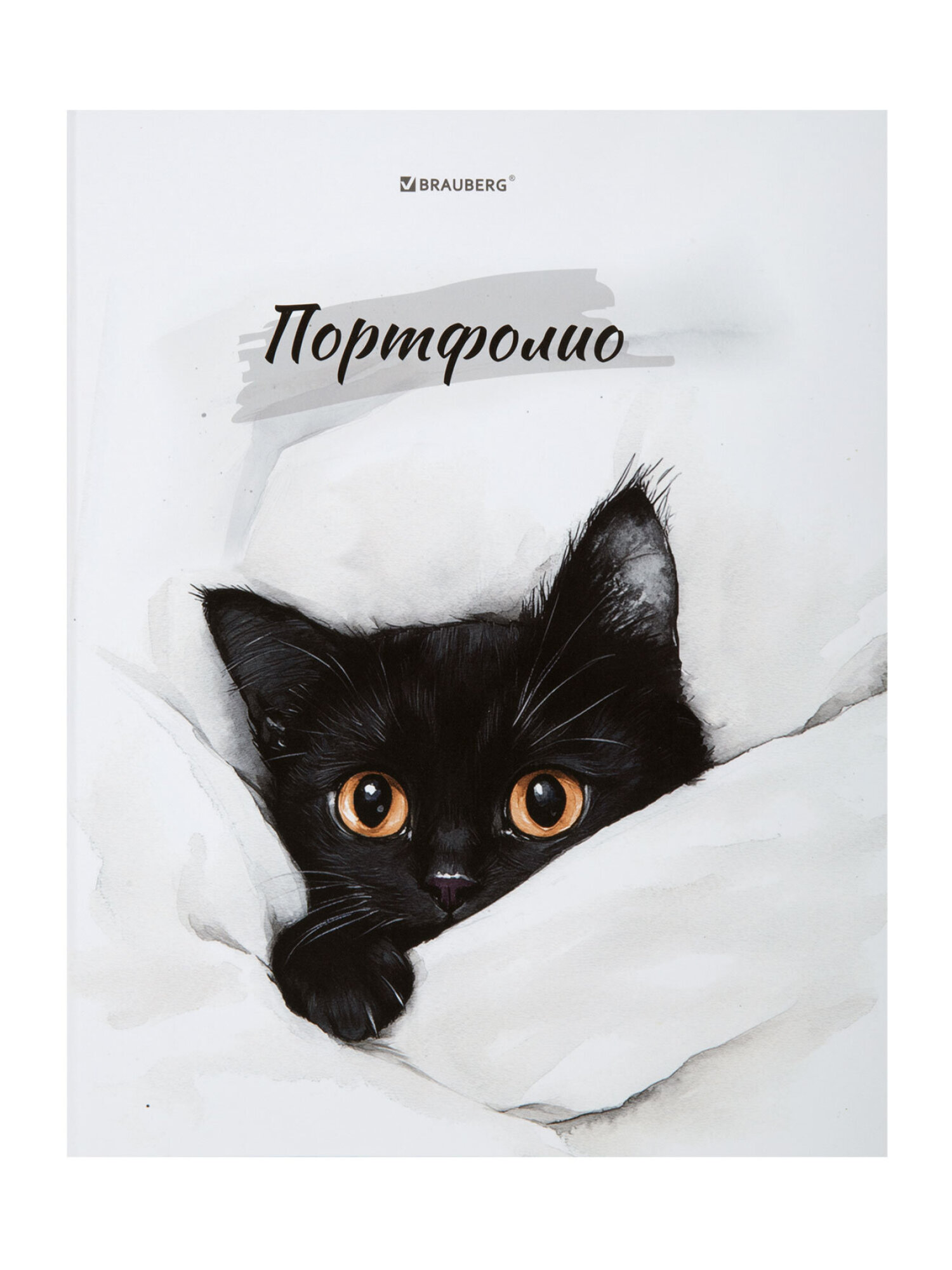Портфолио школьника Brauberg папка А4 на кольцах 20 файлов для девочки и мальчика - фото 9