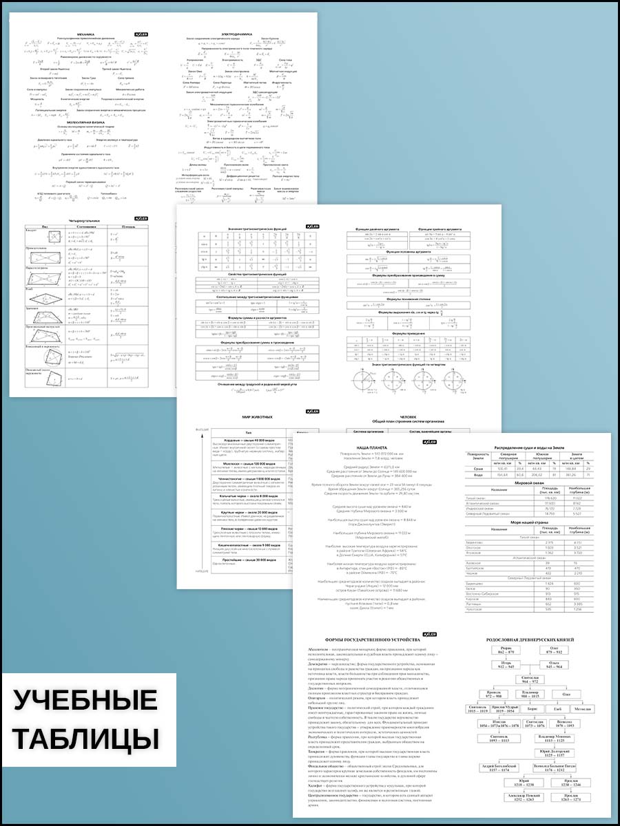 Тетрадь AXLER 48 лист. 12 шт. - фото 3