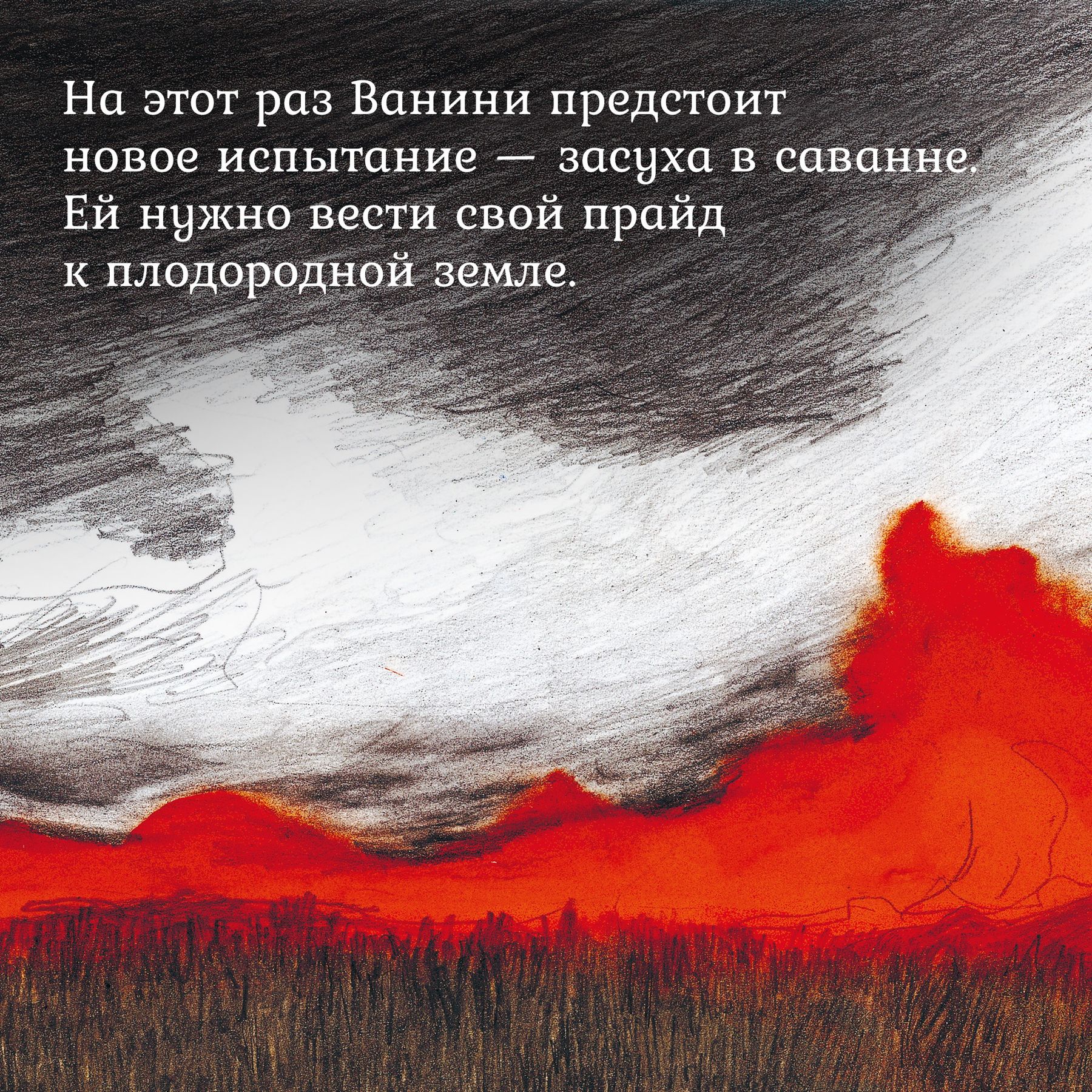 Книга Махаон Хён Ли. Прайд Ванини. - фото 5