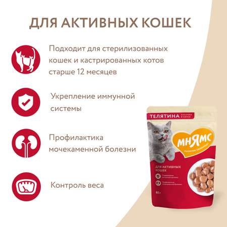 Корм для кошек Мнямс 85г с телятиной для активных кошек в соусе пауч
