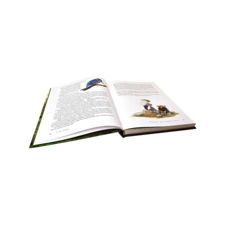 Дeнис Уоткинс-Питчфорд / Добрая книга / Вверх по Причуди и обратно. Удивительные приключения трех гномов / илл. Даниэлы Дрешер
