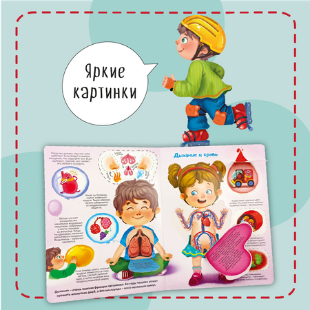 Книжка для малышей BimBiMon с окошками. Моя первая анатомия Виммельбух