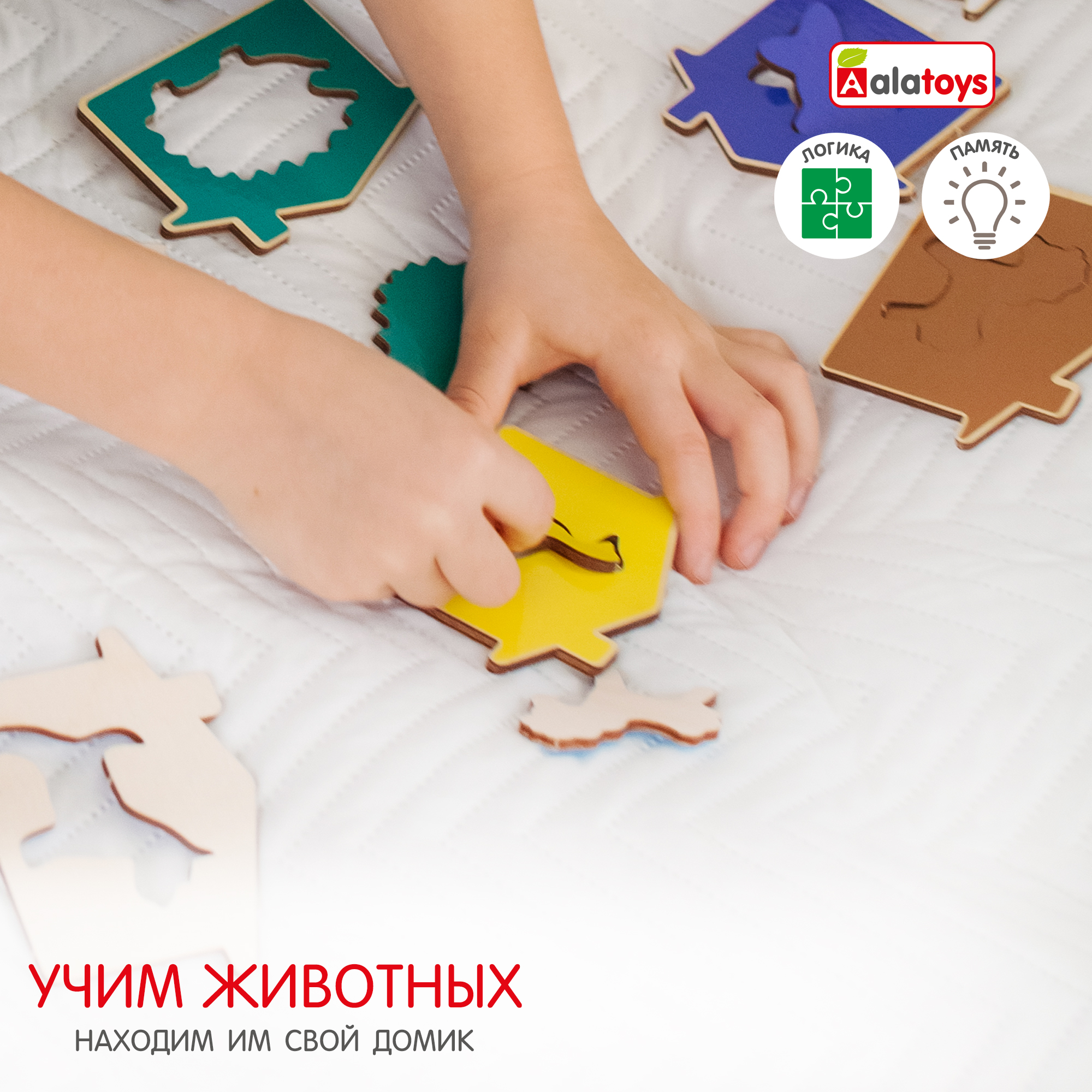 Настольная игра Alatoys Сегена - фото 3