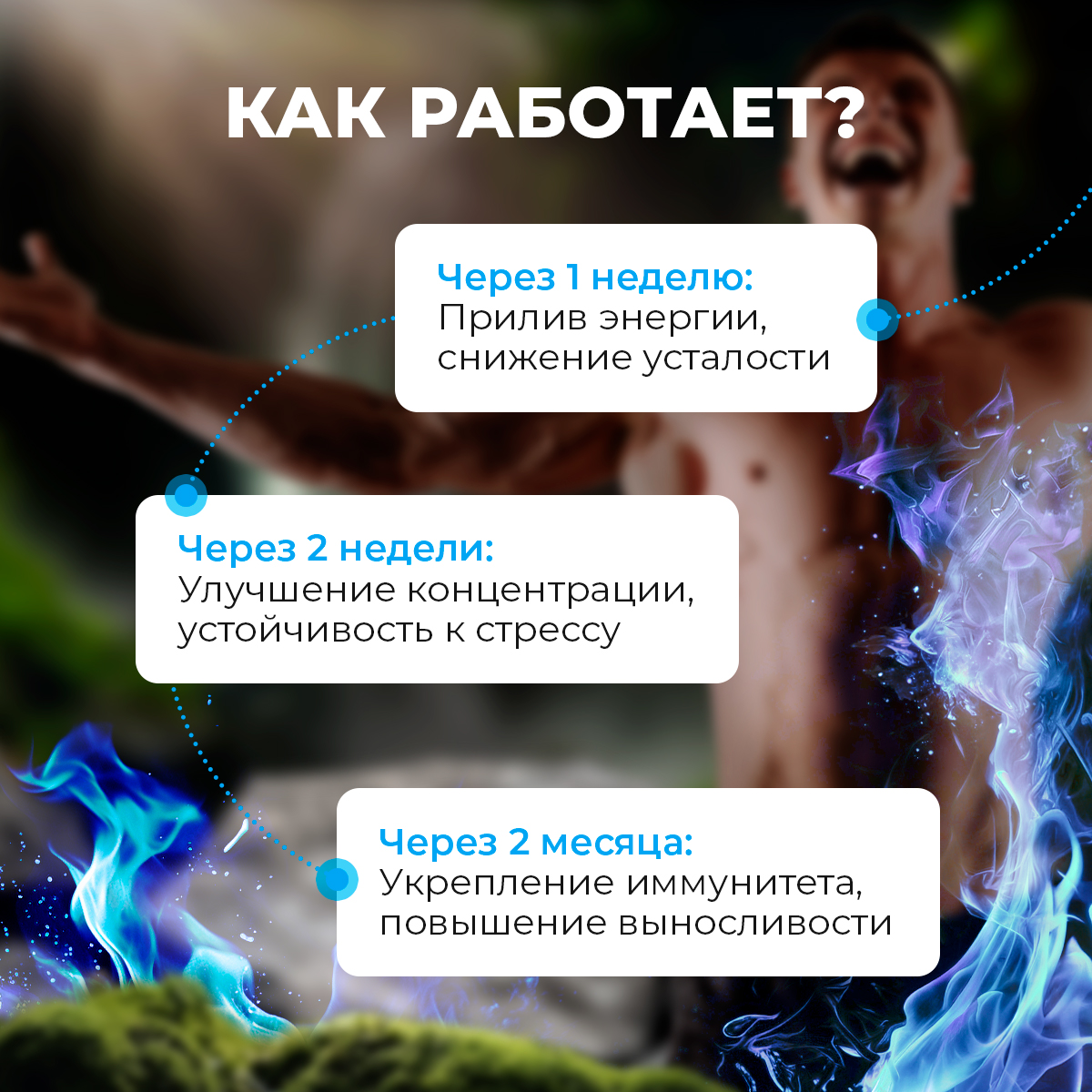 Мульти витамины для мужчин Доктор Море 60 капсул - фото 4