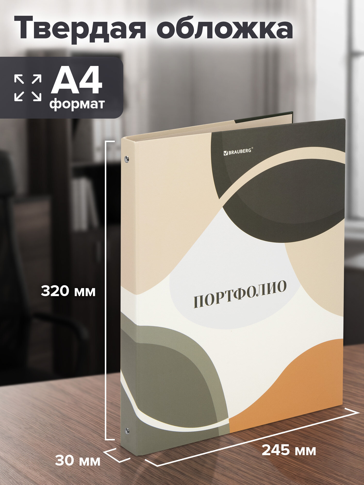 Портфолио школьника Brauberg папка А4 на кольцах 20 файлов для девочки и мальчика - фото 3