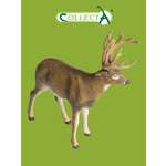 Фигурка Collecta Олень белохвостый