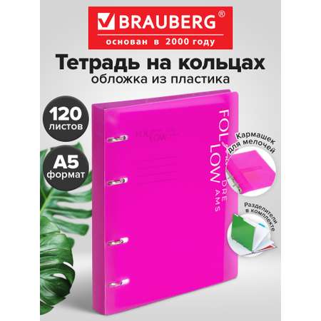 Тетрадь со сменным блоком Brauberg клетка 120 лист.