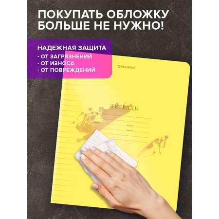Общая тетрадь Brauberg линейка