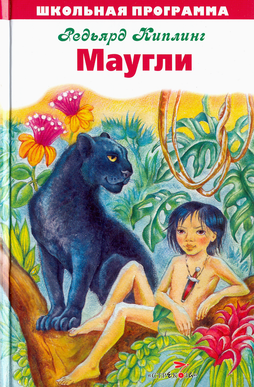 Книга Стрекозa Маугли - фото 1