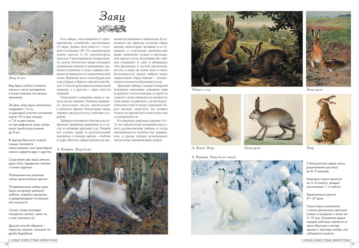 Книга Белый город Самые известные животные - фото 3