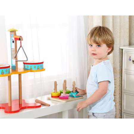 Игрушка Tooky Toy сортер