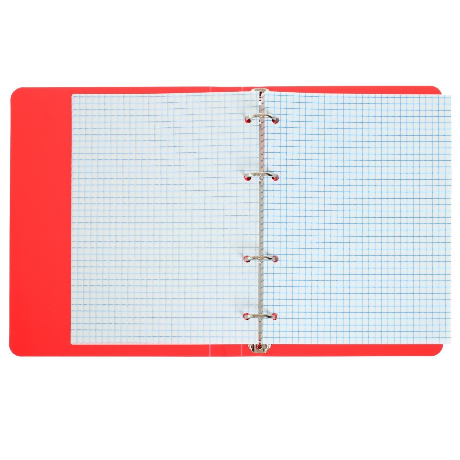 Тетрадь Calligrata клетка - фото 7