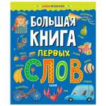 Книга Clever Найди и покажи Большая книга первых слов