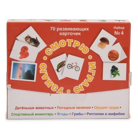 Книга Лабиринт Смотрю Играю Узнаю 4 Набор карточек