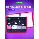 Папка для тетрадей Brauberg четыре котика А5