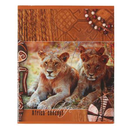 Тетрадь общая Мировые тетради 60л ТО60K9279