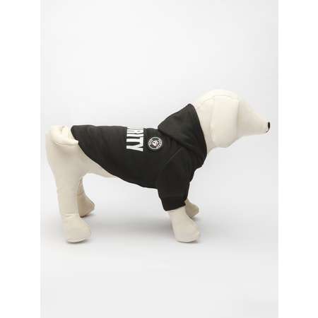 Толстовка для собак PIFPAF DOG