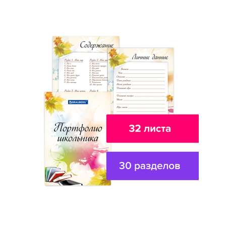 Папка-портфолио Brauberg