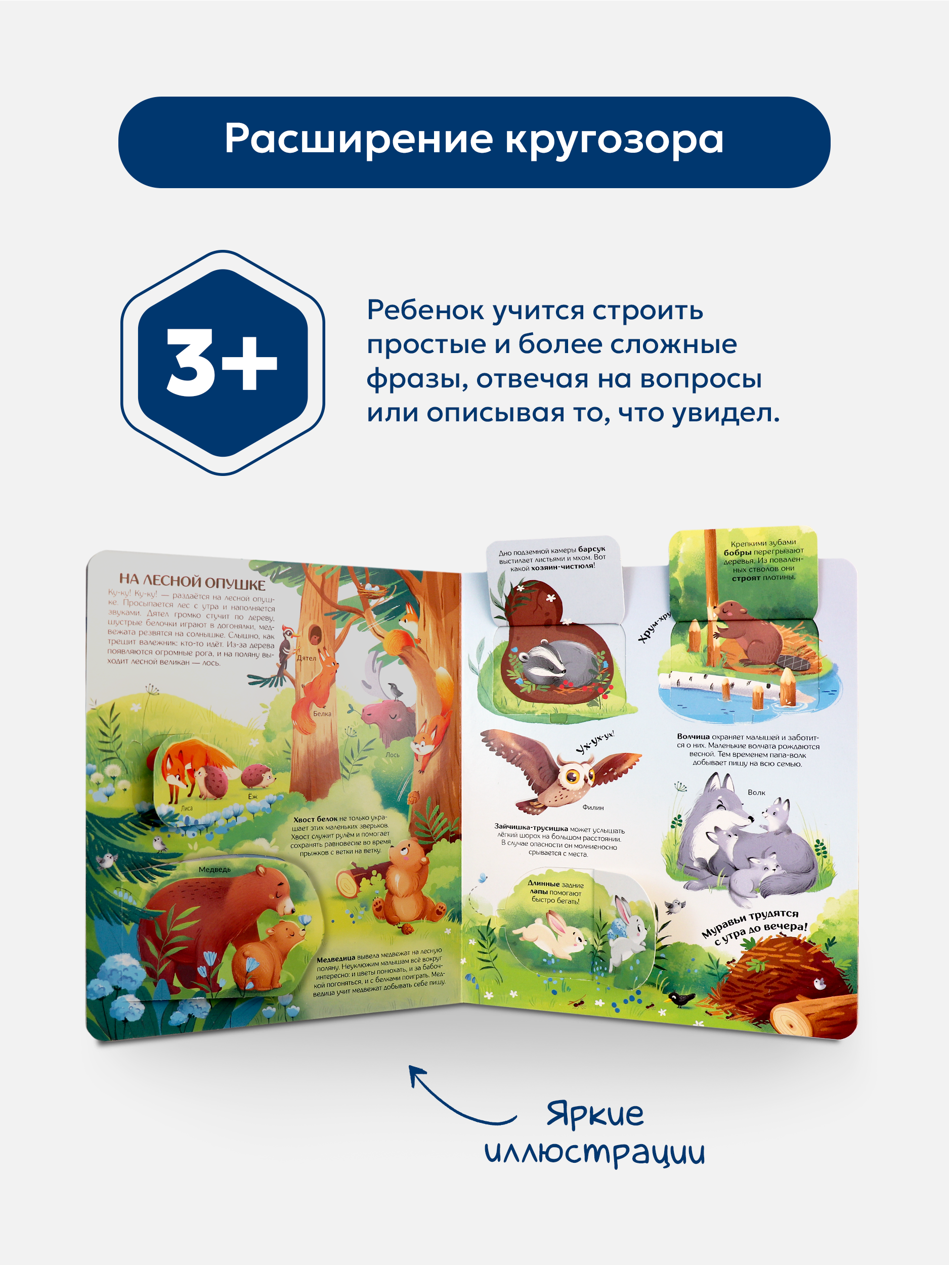Книжка с окошками Мир Животных Malamalama Детская энциклопедия - фото 4