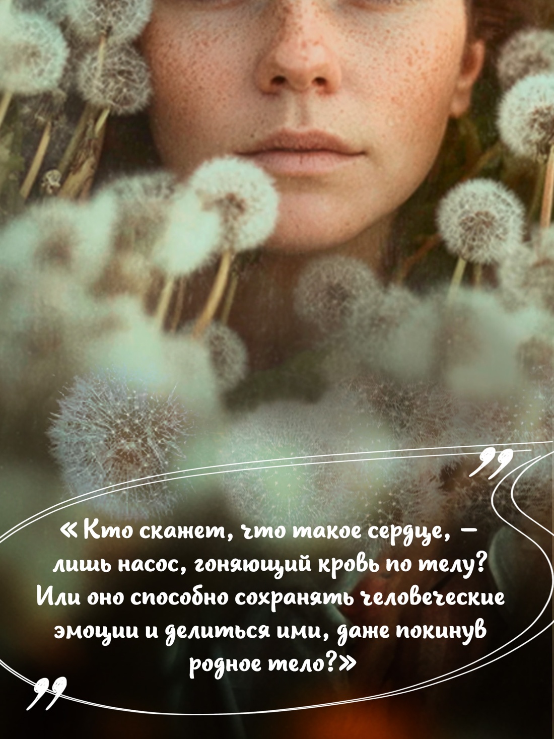 Книга Иностранка Акценты Аткинс Д Хрупкое счастье понедельника мяг обл - фото 8